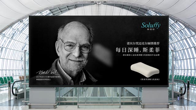 斯柔菲品牌策划案例