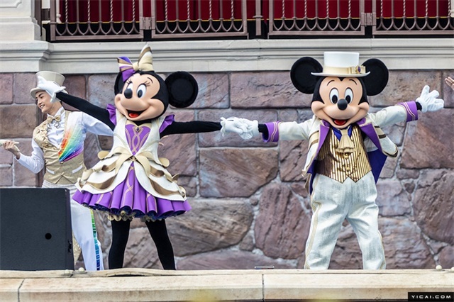 上海迪士尼乐园管理咨询