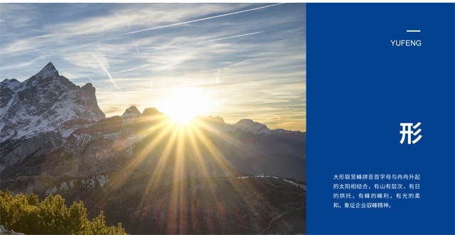 昱峰医疗品牌设计