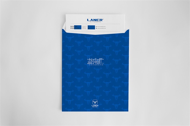 蓝尔视听品牌形象设计