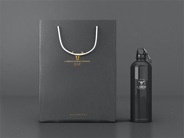 蓝尔视听品牌形象设计