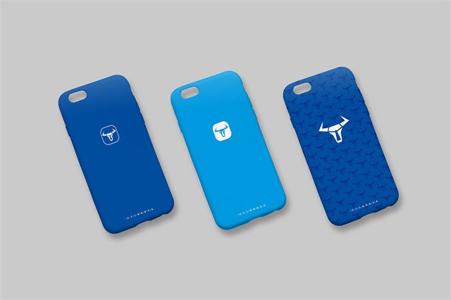 蓝尔视听品牌形象设计