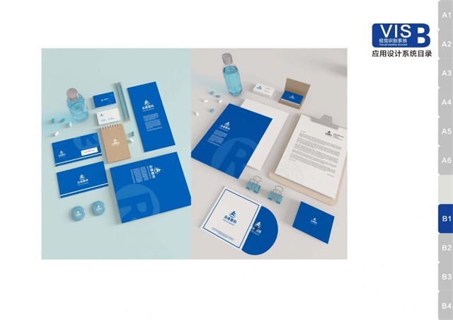 尖峰眼科医院品牌VIS设计