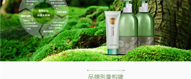 相宜本草品牌策划