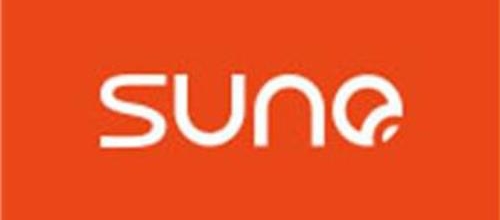 电商运营十大品牌-上佰