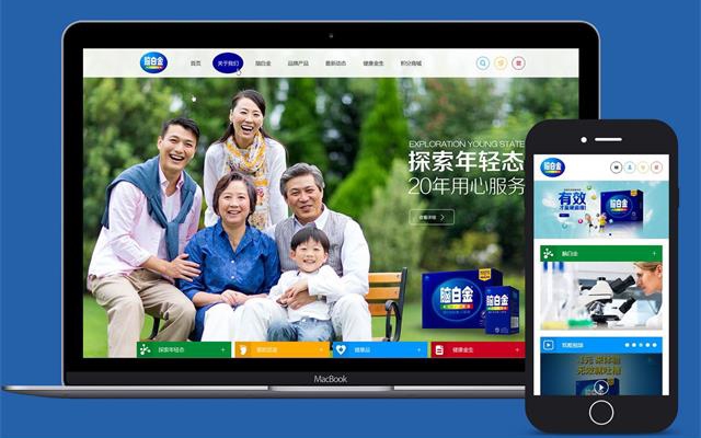 脑白金网站建设