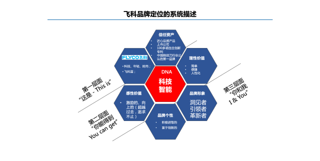 飞科电器品牌营销策划案例