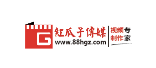 视频制作十大品牌-红瓜子