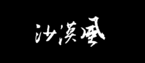 沙漠风网站建设公司