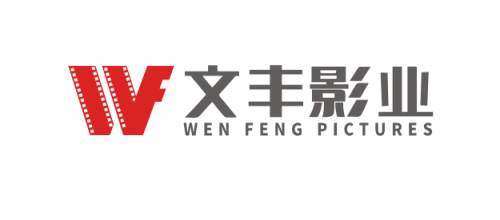 视频制作十大品牌-文丰